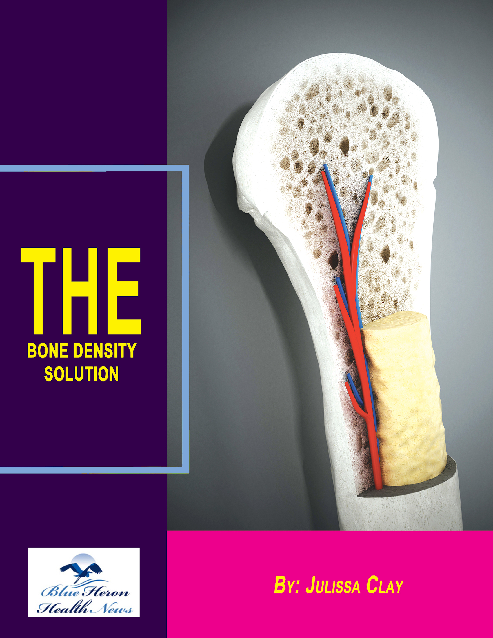 The Bone Density Solution_smaller