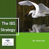 The IBS Strategy - Printed