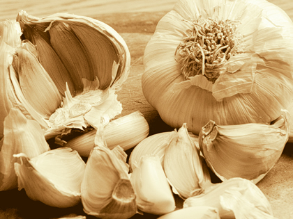 Garlic Good for High Blood Pressure Patients