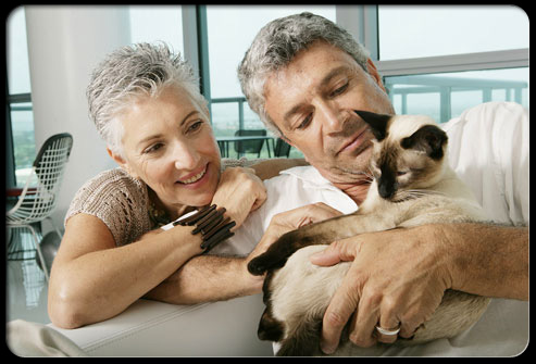 Pets Help in Controlling Hypertension