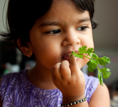 Coriander Improves Arthritis