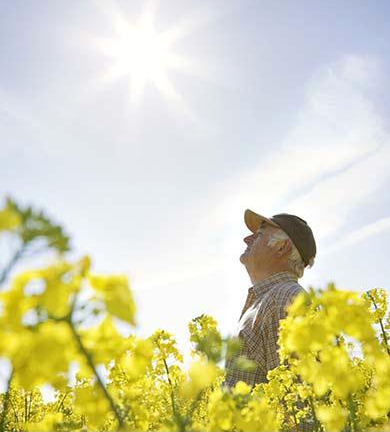 This Vitamin Helps With Arthritis