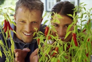 One Spice Lowers Blood Pressure and Cures Everything