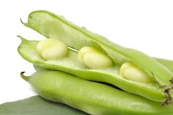 beans_health_benefits