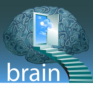 Type 2 Diabetes – Is It All In Your Head?