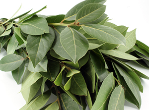 Common Herbal Spice Treats Type 2 Diabetes and Prevents Heart Disease