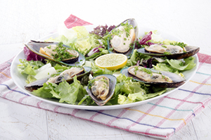green lipped mussels from new zealand