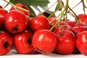 The Most Powerful Heart Health Herb on Earth