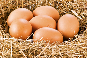 Cholesterol and Eggs: the Truth Revealed!