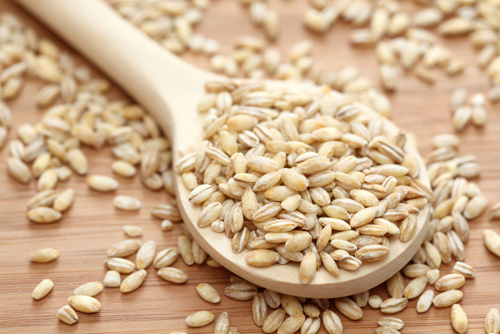 Cholesterol Lowered With This Common Animal Feed