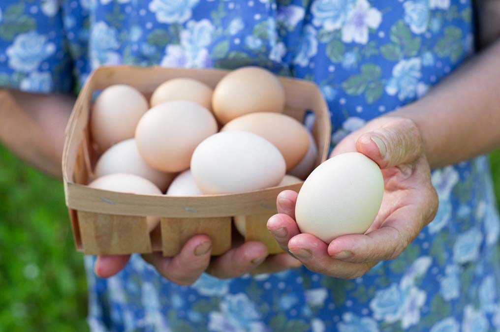 Do Eggs Raise Cholesterol Levels