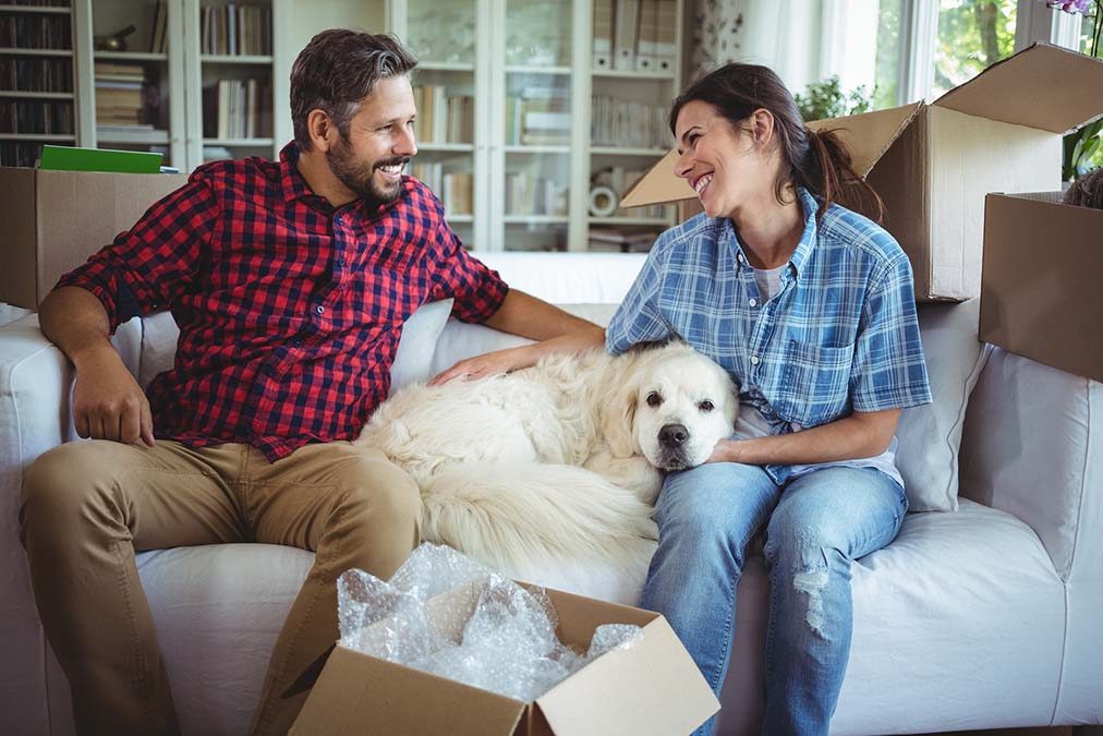 This Pet Corrects Cholesterol (that one doesn’t)