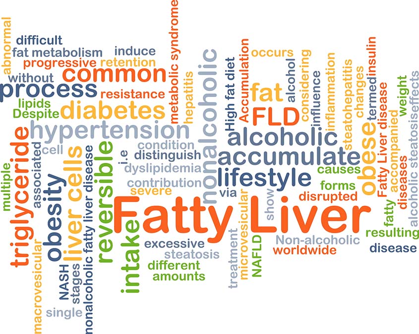 Non-Alcoholic Fatty Liver Cured With This Protein