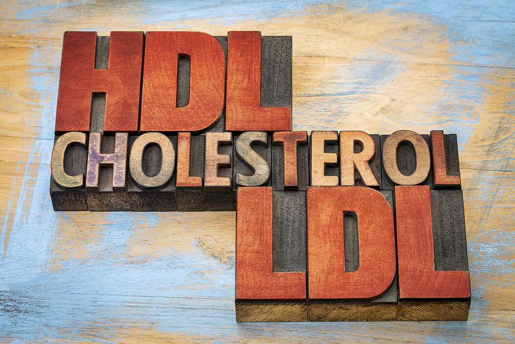 Cholesterol Myth Busted –New Study