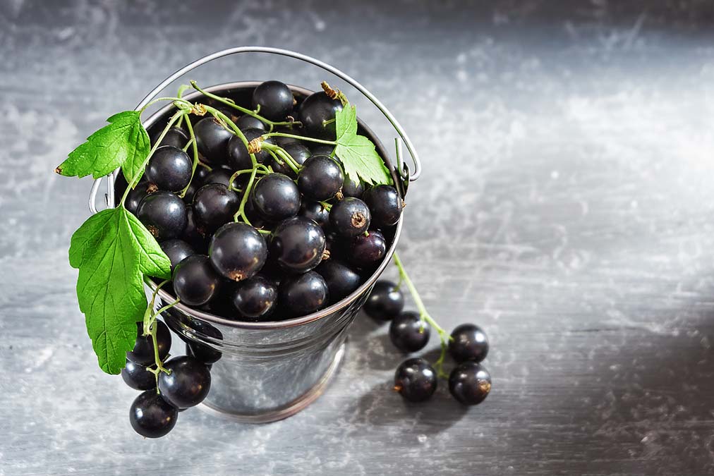 These Berries Heal High Blood Pressure and Diabetes