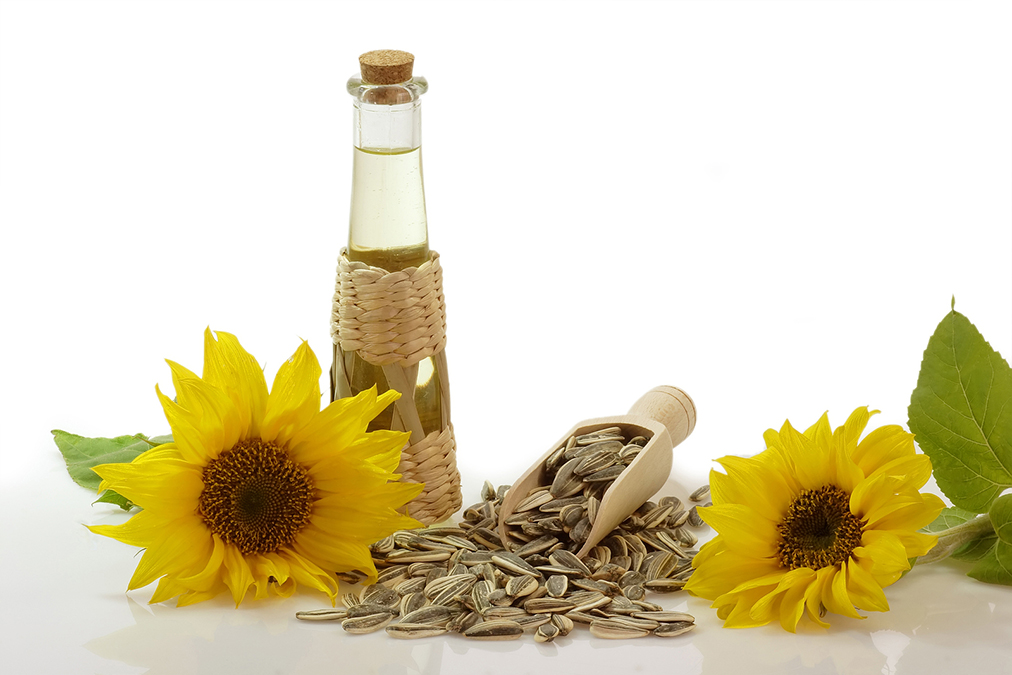 Подсолнечное масло подсолнух. Helianthus annuus Seed Oil в косметике. Семена подсолнечника масло белый фон. Фон для презентации масло растительное.