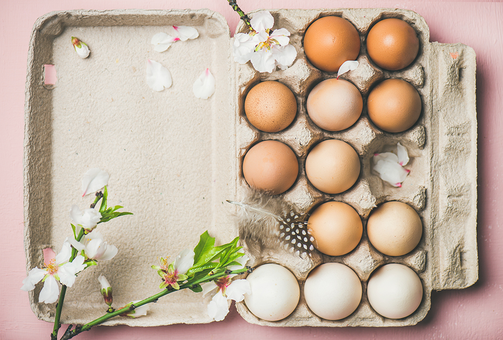 The Cholesterol and Eggs Debate: Winner Declared