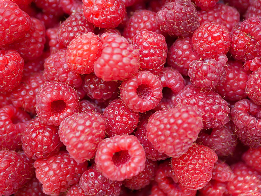 Yummy berries protect your Heart and Arteries