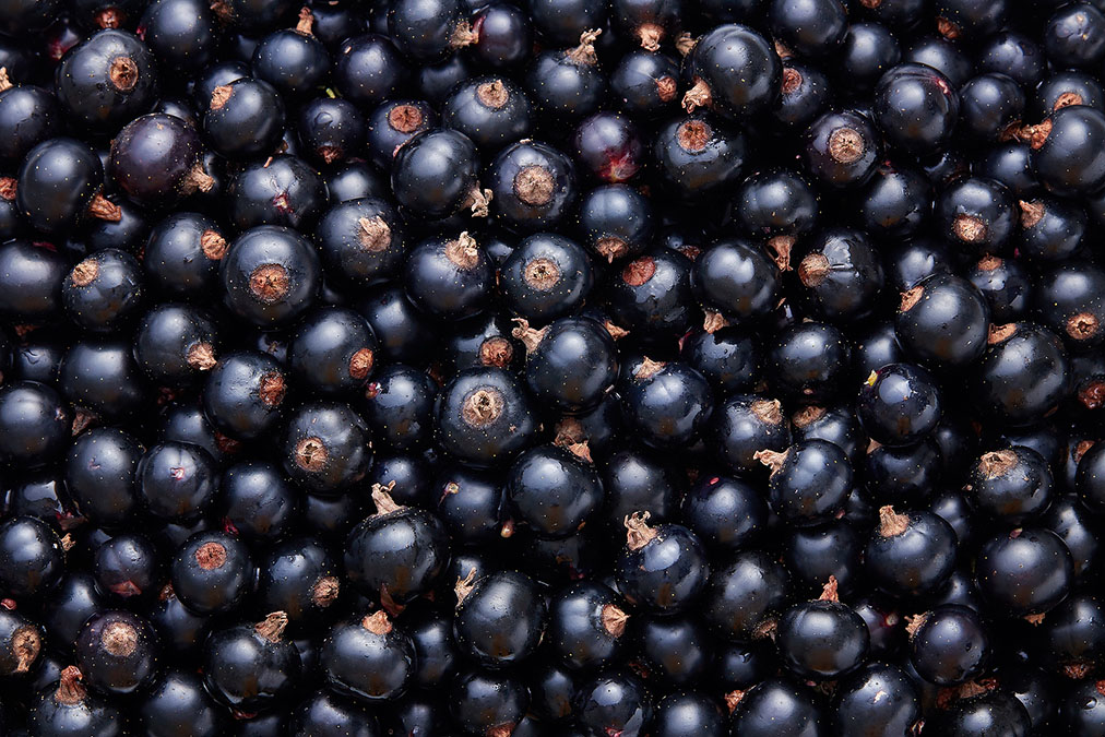 Cut Blood Pressure and Diabetes: One Berry