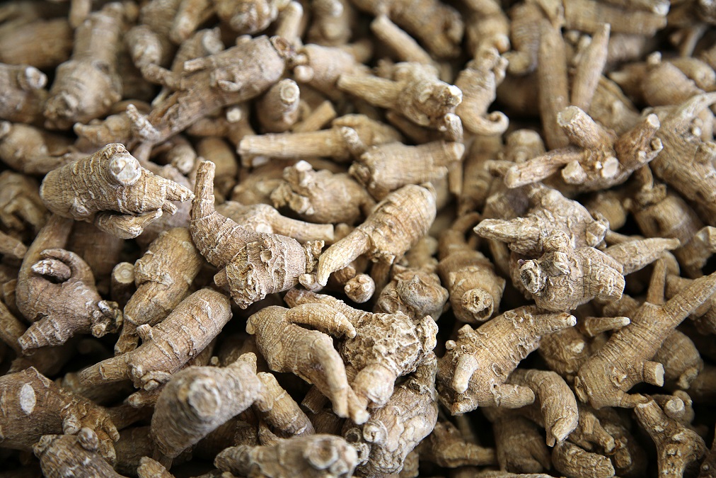 5 Best Foods as ED Cures