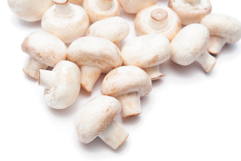 These Mushrooms Improve Parkinson’s Disease